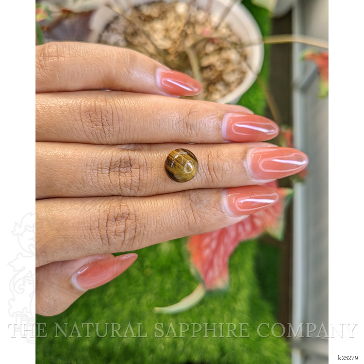 4.44 Ct. Cabochon Tiger's Eye from South Africa