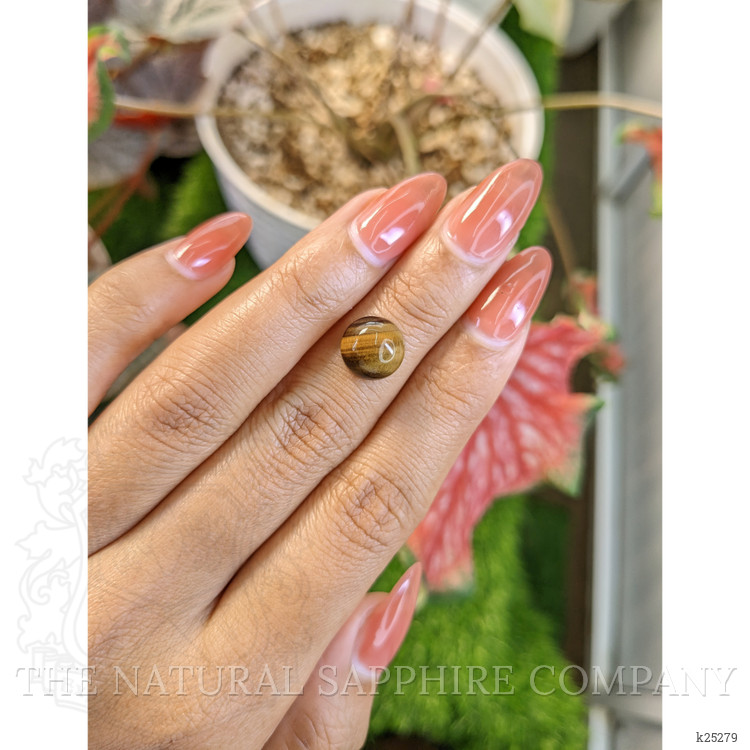 4.44 Ct. Cabochon Tiger's Eye from South Africa