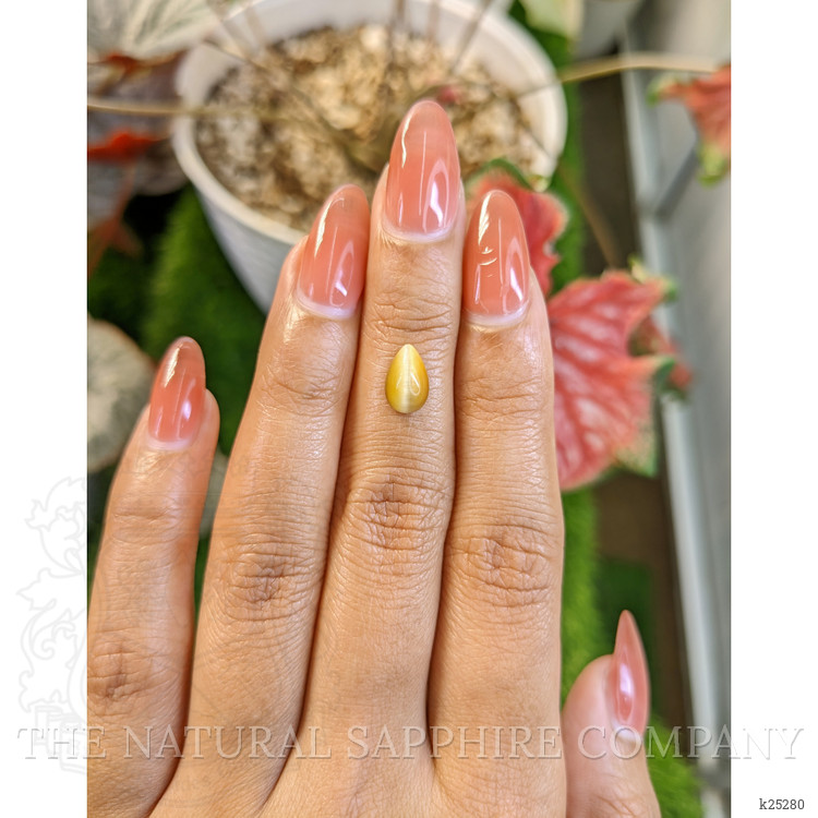 1.16 Ct. Cabochon Tiger's Eye from South Africa