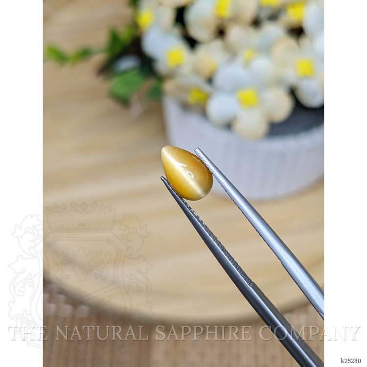 1.16 Ct. Cabochon Tiger's Eye from South Africa