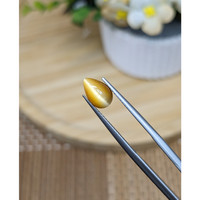 1.24 Ct. Cabochon Tiger's Eye from South Africa Life Style