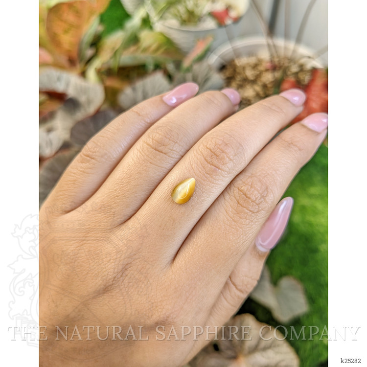 1.29 Ct. Cabochon Tiger's Eye from South Africa