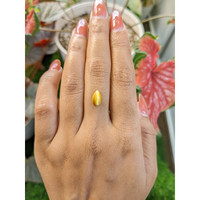 1.17 Ct. Cabochon Tiger's Eye from South Africa Life Style