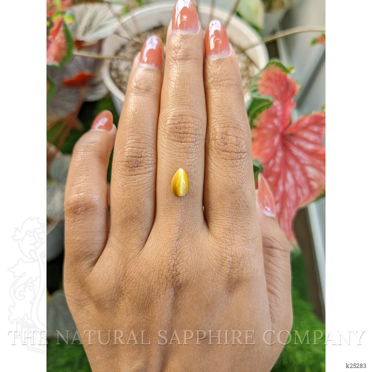 1.17 Ct. Cabochon Tiger's Eye from South Africa