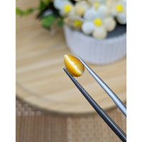 1.17 Ct. Cabochon Tiger's Eye from South Africa Life Style