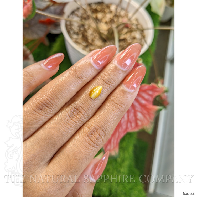1.17 Ct. Cabochon Tiger's Eye from South Africa