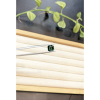 2.67 Ct. Green Tourmaline from Brazil Life Style