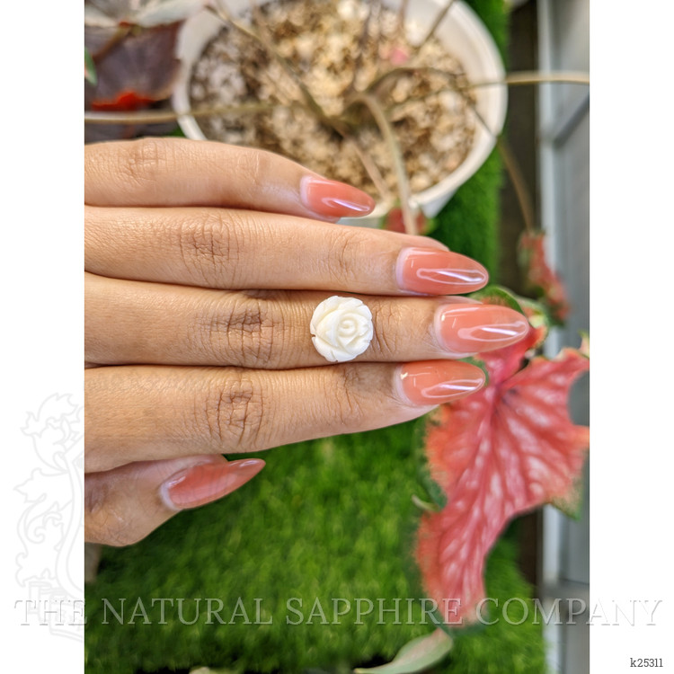 8.41 Ct. Salmon and White Coral from Italy
