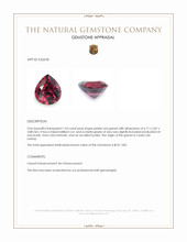 1.03 Ct. Pinkish Red Garnet from Ceylon (Sri Lanka) Appraisal
