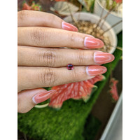 0.67 Ct. Reddish Pink Garnet from Ceylon (Sri Lanka) Life Style