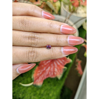 0.67 Ct. Pinkish Purple Garnet from Ceylon (Sri Lanka) Life Style