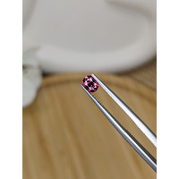 0.67 Ct. Pinkish Purple Garnet from Ceylon (Sri Lanka) Life Style