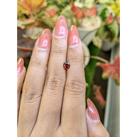 0.90 Ct. Red Garnet from Ceylon (Sri Lanka) Life Style