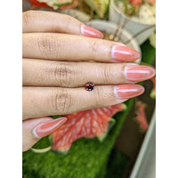 0.90 Ct. Red Garnet from Ceylon (Sri Lanka) Life Style