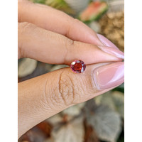 1.00 Ct. Reddish Pink Garnet from Ceylon (Sri Lanka) Life Style