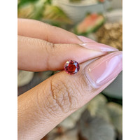 1.03 Ct. Pinkish Red Garnet from Ceylon (Sri Lanka) Life Style