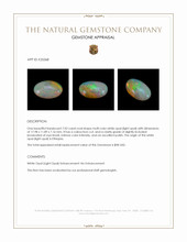 7.02 Ct. Multi Color Cabochon White Opal (Light Opal) from Ethiopia Appraisal