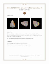 22.15 Ct. Multi Color White Opal (Light Opal) from Ethiopia Appraisal