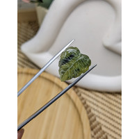 8.11 Ct. Green Jade from Burma (Myanmar) Life Style