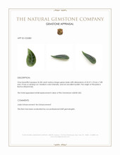 26.38 Ct. Green Jade from Burma (Myanmar) Appraisal