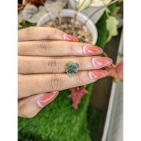 2.49 Ct. Green Jade from Burma (Myanmar) Life Style