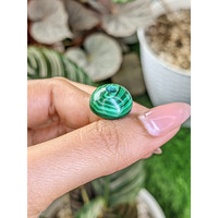 23.88 Ct. Cabochon Malachite from Madagascar Life Style