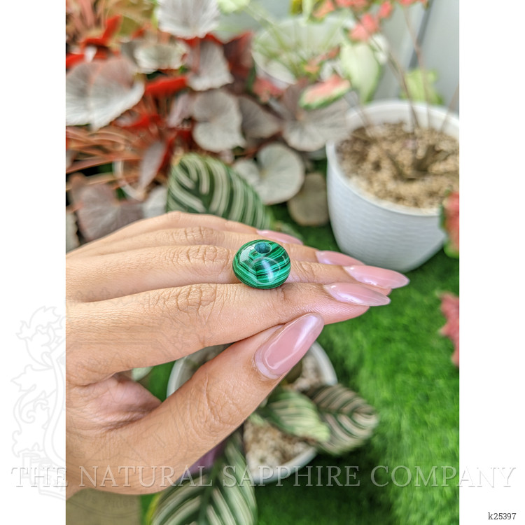 23.88 Ct. Cabochon Malachite from Madagascar