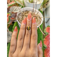 4.34 Ct. Cabochon Tiger's Eye from Ceylon (Sri Lanka) Life Style