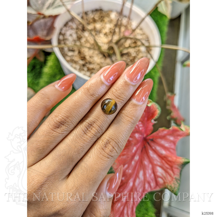 4.34 Ct. Cabochon Tiger's Eye from Ceylon (Sri Lanka)