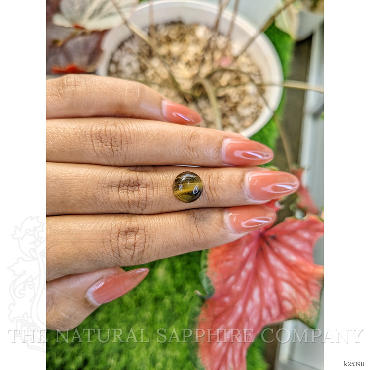 4.34 Ct. Cabochon Tiger's Eye from Ceylon (Sri Lanka)