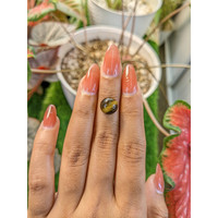 4.34 Ct. Cabochon Tiger's Eye from Ceylon (Sri Lanka) Life Style