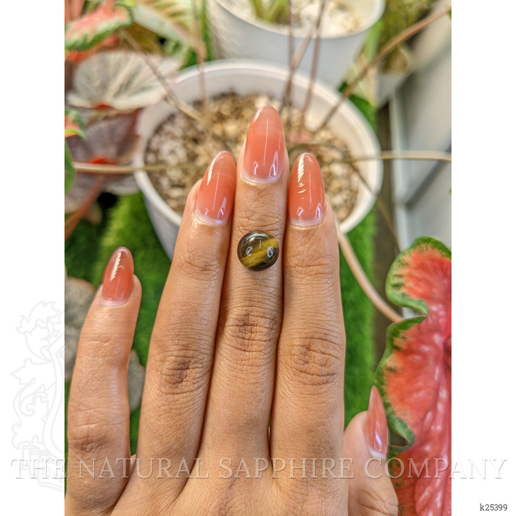 4.34 Ct. Cabochon Tiger's Eye from Ceylon (Sri Lanka)