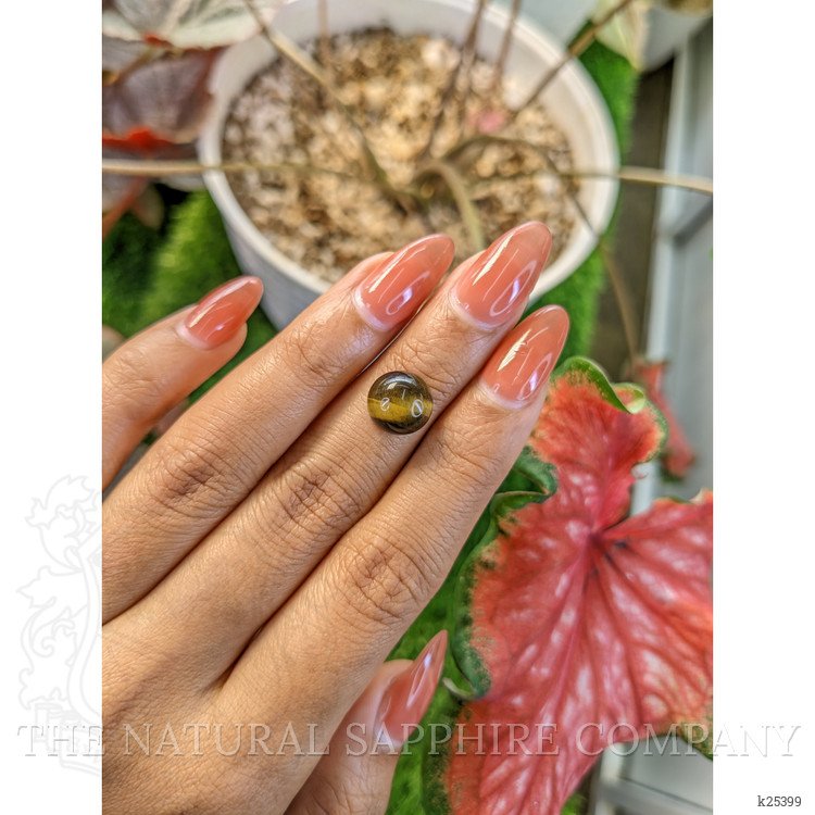 4.34 Ct. Cabochon Tiger's Eye from Ceylon (Sri Lanka)