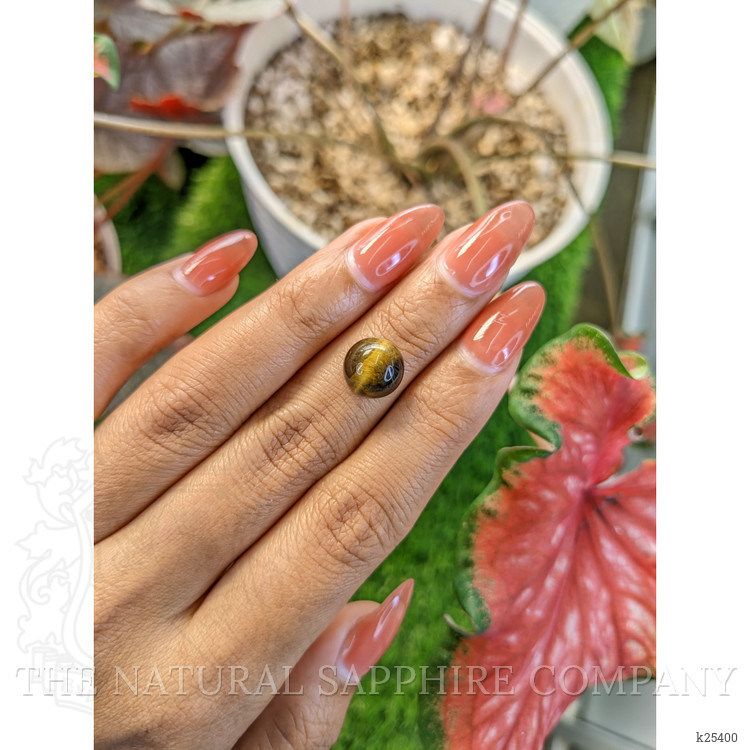 4.28 Ct. Cabochon Tiger's Eye from Ceylon (Sri Lanka)