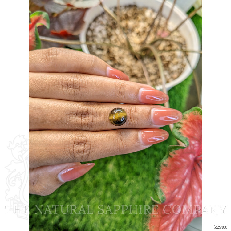 4.28 Ct. Cabochon Tiger's Eye from Ceylon (Sri Lanka)