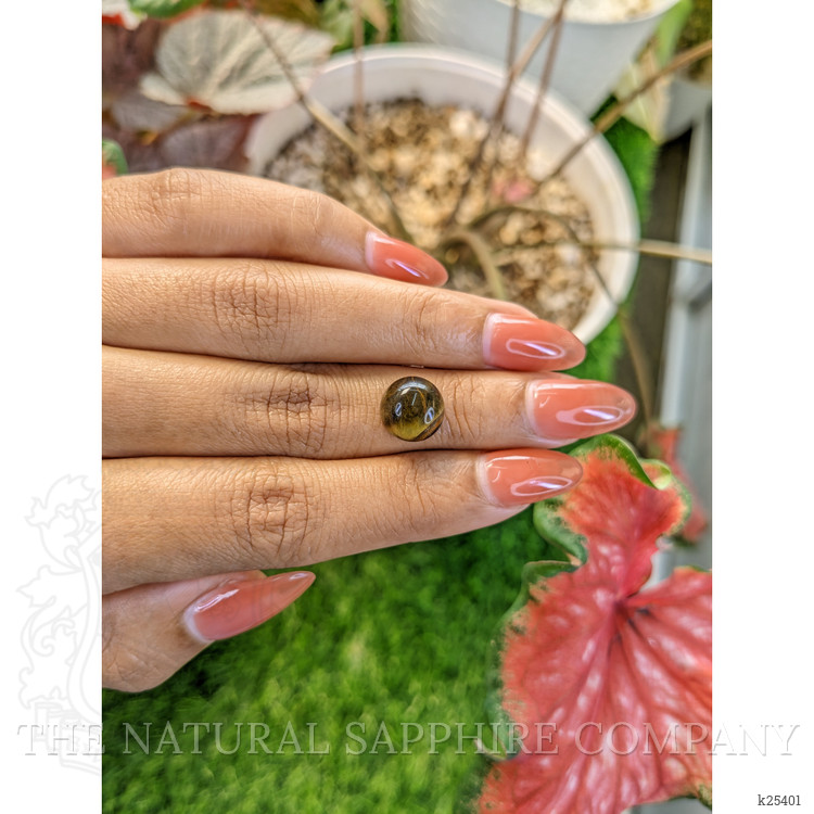 4.54 Ct. Cabochon Tiger's Eye from Ceylon (Sri Lanka)