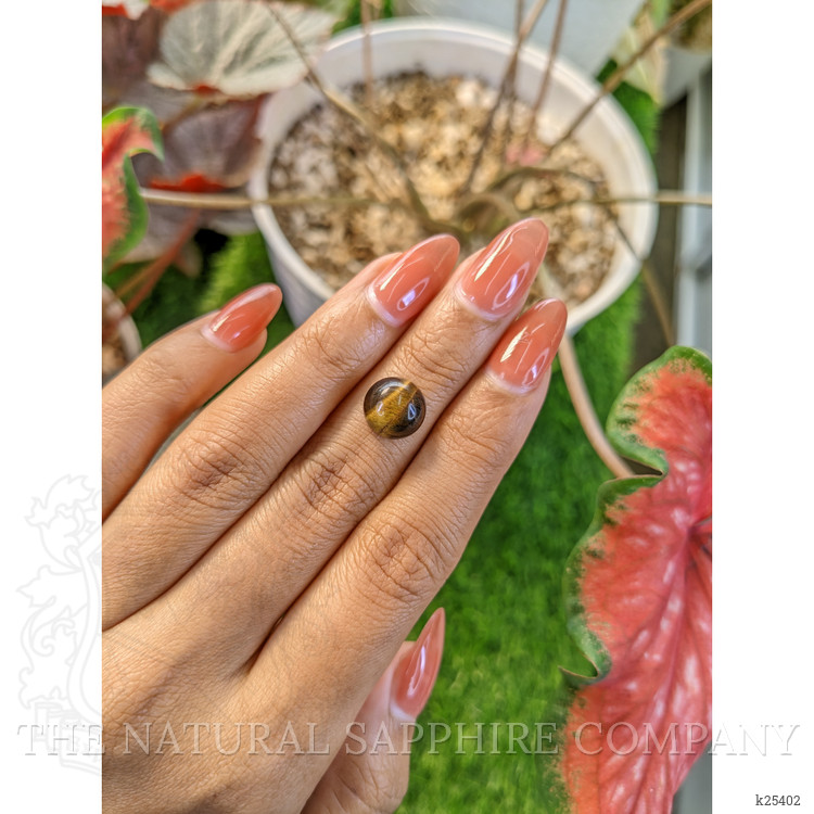 4.95 Ct. Cabochon Tiger's Eye from Ceylon (Sri Lanka)