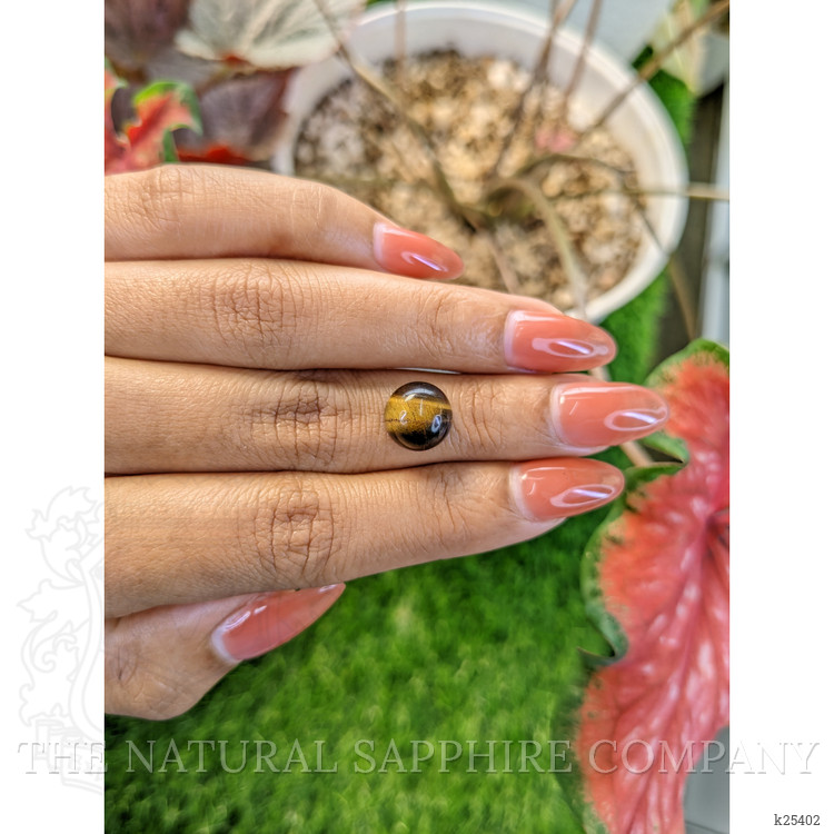 4.95 Ct. Cabochon Tiger's Eye from Ceylon (Sri Lanka)