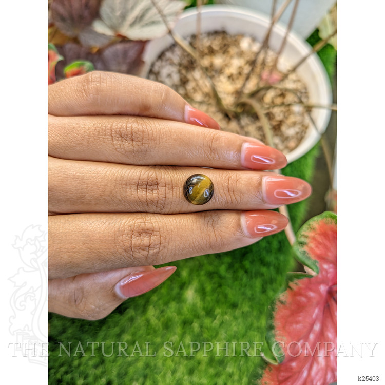 4.30 Ct. Cabochon Tiger's Eye from Ceylon (Sri Lanka)