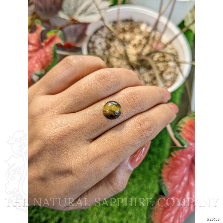 4.30 Ct. Cabochon Tiger's Eye from Ceylon (Sri Lanka)