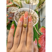 4.39 Ct. Cabochon Tiger's Eye from Ceylon (Sri Lanka) Life Style