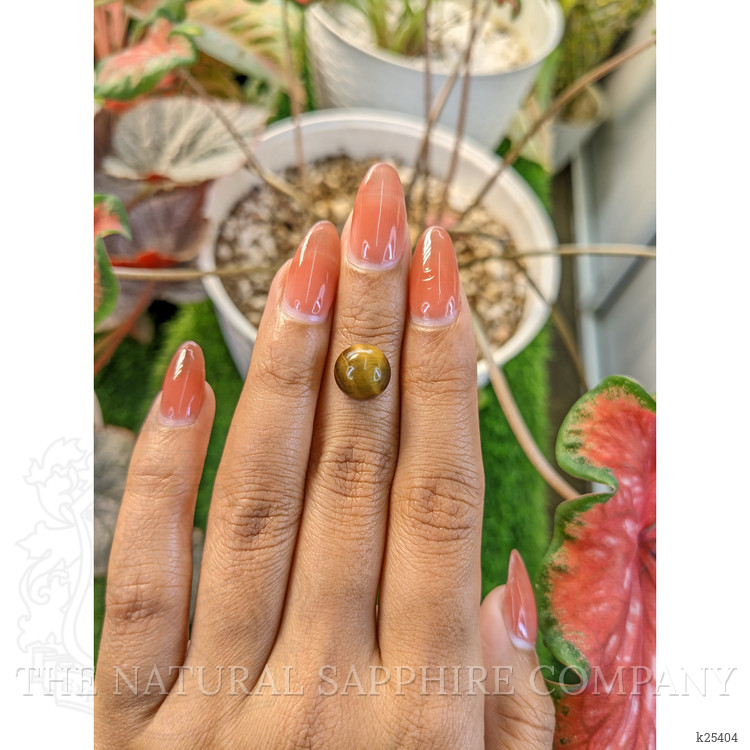 4.39 Ct. Cabochon Tiger's Eye from Ceylon (Sri Lanka)