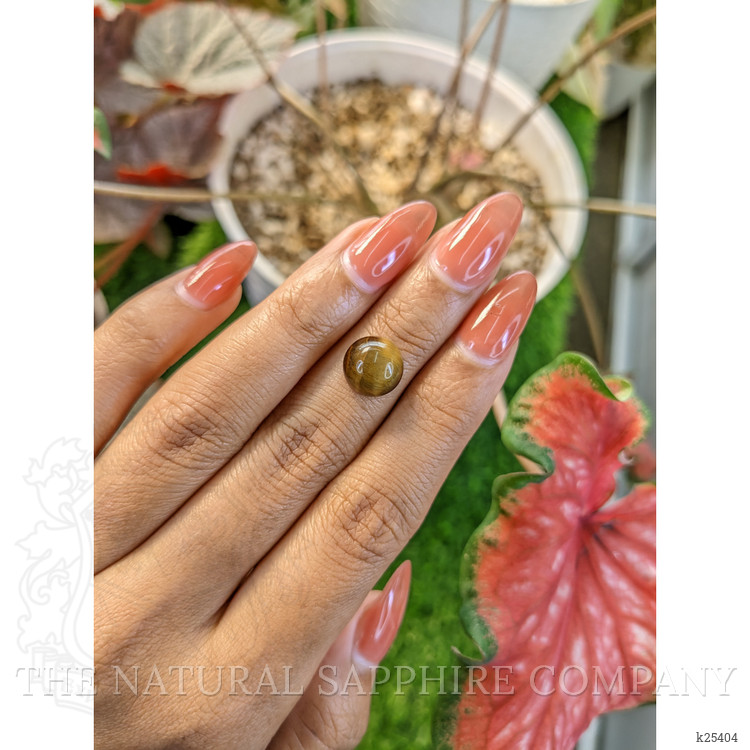 4.39 Ct. Cabochon Tiger's Eye from Ceylon (Sri Lanka)