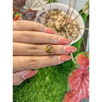 4.39 Ct. Cabochon Tiger's Eye from Ceylon (Sri Lanka) Life Style