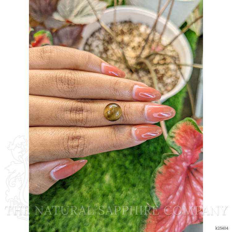 4.39 Ct. Cabochon Tiger's Eye from Ceylon (Sri Lanka)