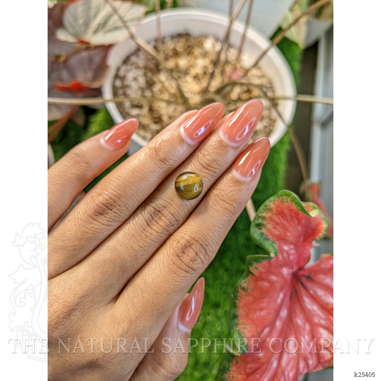 4.53 Ct. Cabochon Tiger's Eye from Ceylon (Sri Lanka)