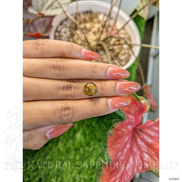 4.53 Ct. Cabochon Tiger's Eye from Ceylon (Sri Lanka)