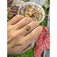 4.36 Ct. Cabochon Tiger's Eye from Ceylon (Sri Lanka) Life Style
