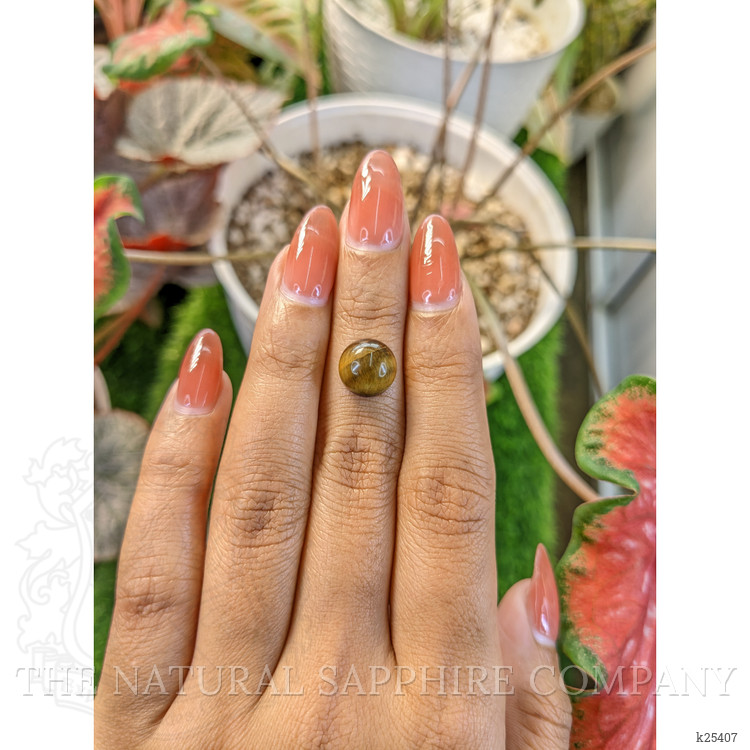 4.06 Ct. Cabochon Tiger's Eye from Ceylon (Sri Lanka)