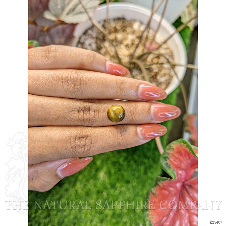 4.06 Ct. Cabochon Tiger's Eye from Ceylon (Sri Lanka)